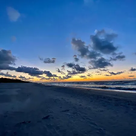 Blue Beaufort
